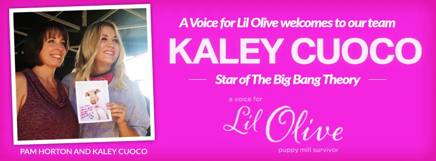 kaley_blog
